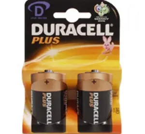 Direct Verzonden Batterie 1,5v torcia 2pz 25139