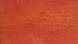 Colorante universale liquido lt1 TIVAL VELECA Arancio 24606aranc Express Levering