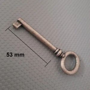 Chiave per mobili argento antico 33728Z0xx0N25 gambo 53 mm 10833-53 Laatste Kans