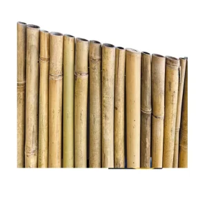 Arella / canniccio in bambu‘ Ø 4-5 mm pelato 611 1,5 x 3 MT 26615 Rechtstreeks Van De Fabrikant