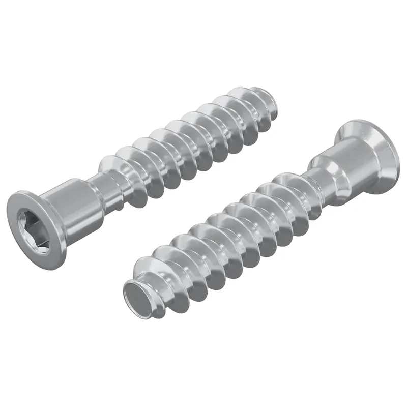 vidaXL Vite a testa cilindrica 2 pcs Argento M7 x 40 mm Acciaio Hoge Kwaliteit