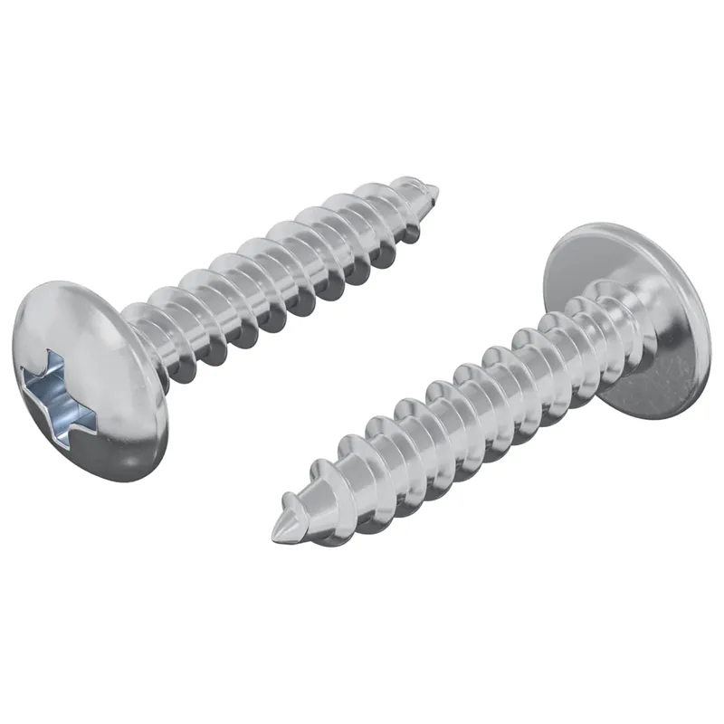 Bestel Nu vidaXL Viti in Legno 2 pcs Argento M4 x 20 mm Acciaio