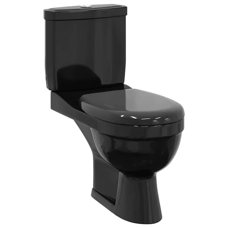 Tijdelijk Beschikbaar vidaXL Toilette con Cisterna Nera