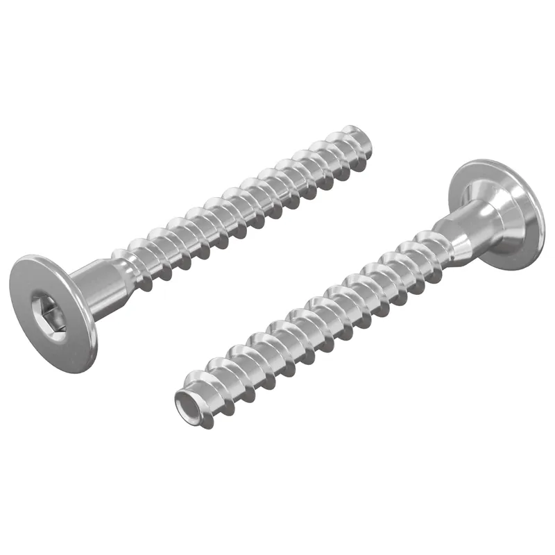 Merkproduct vidaXL Viti confermat 2 pcs Argento Ø5 x 40 mm Metallo