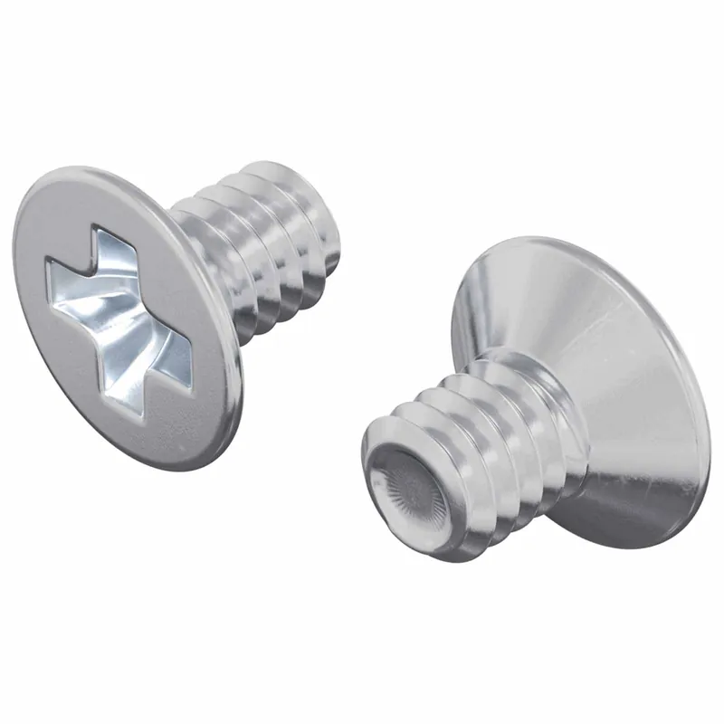 Nu Kopen vidaXL Viti a testa conica 2 pcs Argento M4 x 6 mm Acciaio