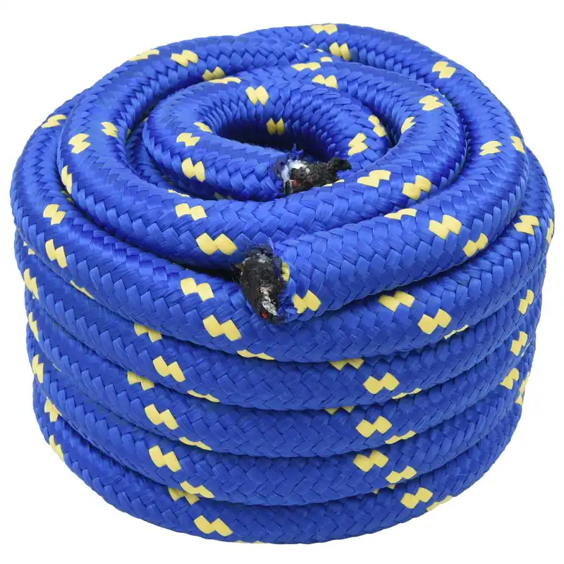Premium vidaXL Corda da Barca 5 m 3 Blu PP
