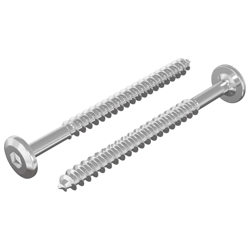 Gecertificeerd vidaXL Viti in Legno 2 pcs Argento M6 x 70 mm Acciaio