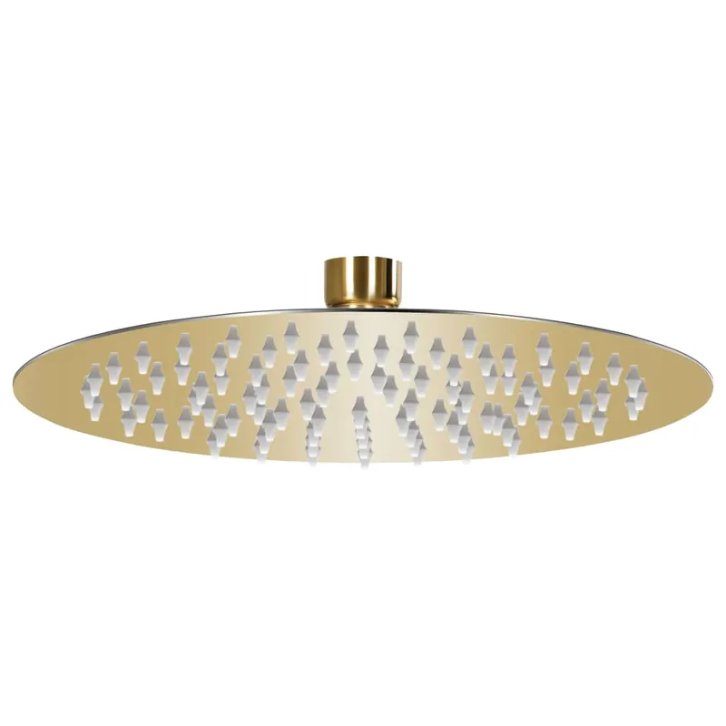 vidaXL Testa Doccia a Pioggia in Acciaio Inox 20 cm Rotonda Oro Veilige Betaling