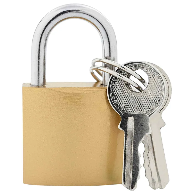 Koopje vidaXL U Lock con Chiavi 100 pcs Ottone Ferro