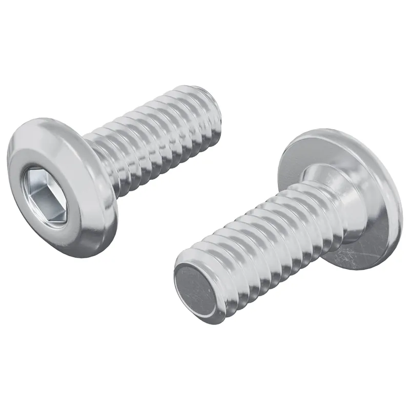 Hoge Kwaliteit vidaXL Vite con Testa Bloccante 2 pcs Argento M6 x 15 mm Acciaio