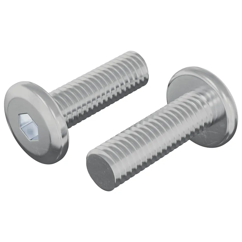 vidaXL Vite 2 pcs Argento 8 x 25 mm Acciaio Betrouwbaar