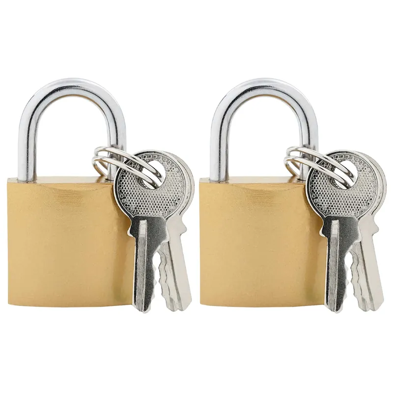 Meest Verkocht vidaXL U Lock con Chiavi 2 pcs Ottone Ferro