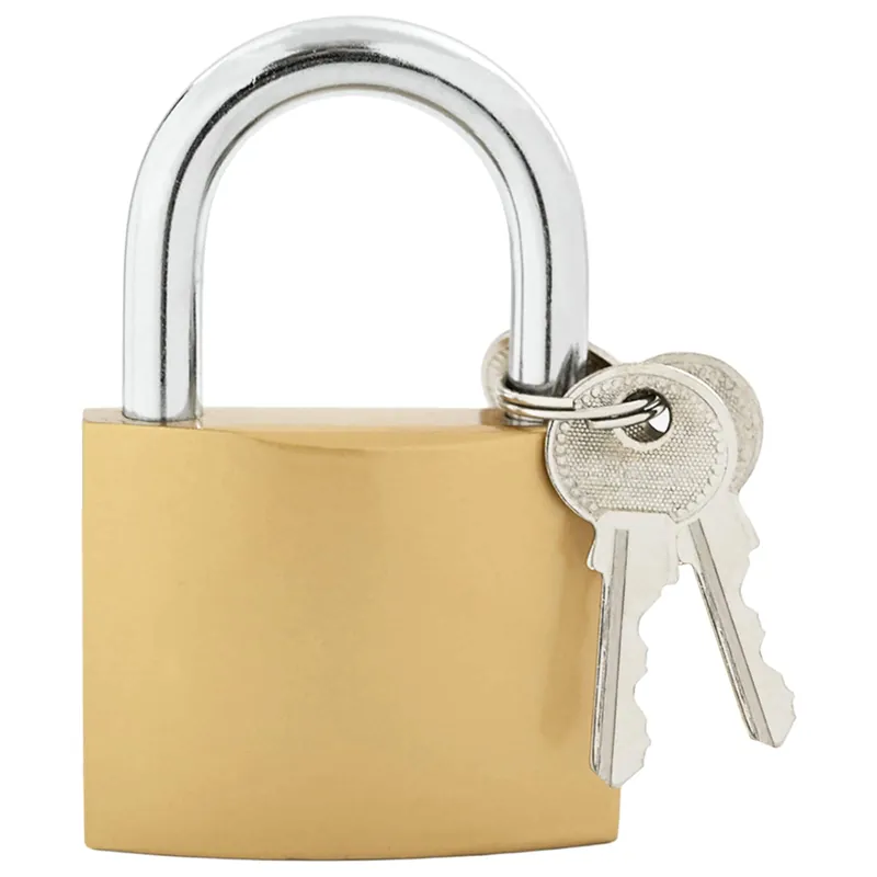 Lage Prijs vidaXL U Lock con Chiavi 50 pcs Ottone Ferro