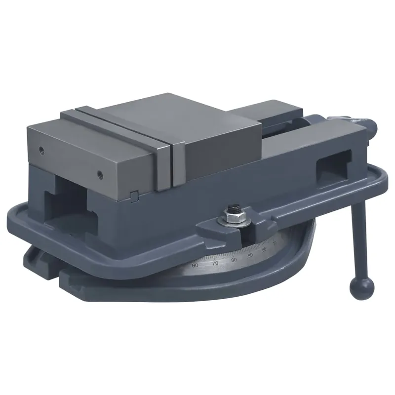 Koopje vidaXL Morsa con Piattaforma Girevole in Ghisa 160 mm