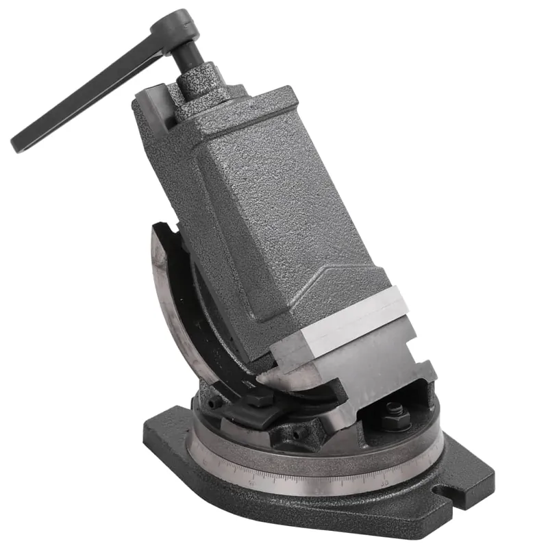 Dagaanbieding vidaXL Morsa Inclinabile a 2 Assi 100 mm