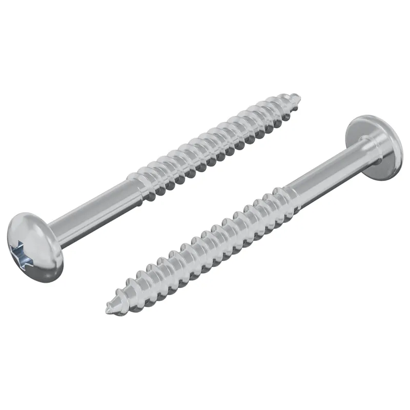 vidaXL Vite in Legno 2 pcs Argento 9,8 x 53 mm Acciaio Shop Nu