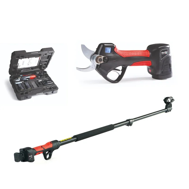 BLUE BIRD Kit forbici cesoie potatore ps 22-32 e prolunga telescopica ep 22-32 con 3 batterie al litio 887820 blue bird Superprijs