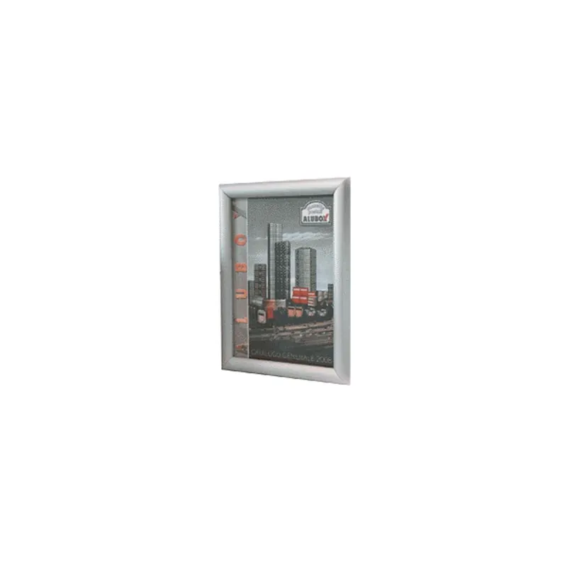 Fabrieksprijs ALUBOX Simplex 2 bacheca 2 fogli a4 arg alubox