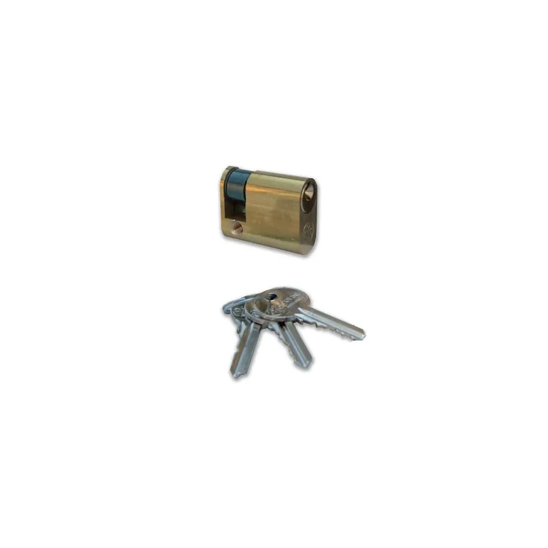 Alleen Vandaag ASSA ABLOY Mezzo cilindro ovale mm76 66x10 0903002 yale