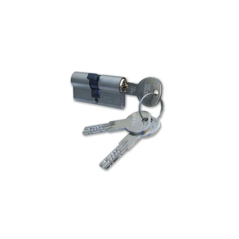 Uitverkoop ISEO Cilindro sagomato nichelato mm 61 28x33 b82r7028339 iseo