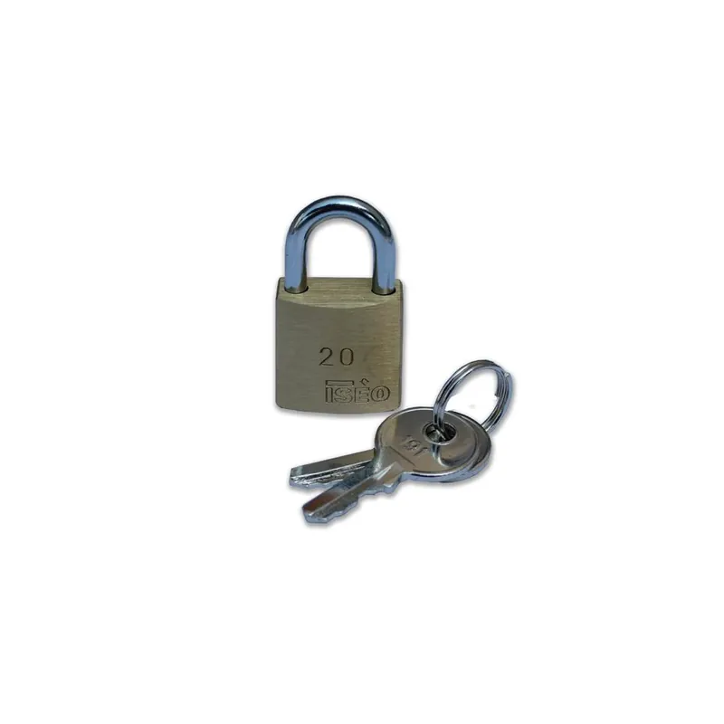 Beperkte Voorraad ISEO Lucchetto city basic mm 60 ka 377 iseo