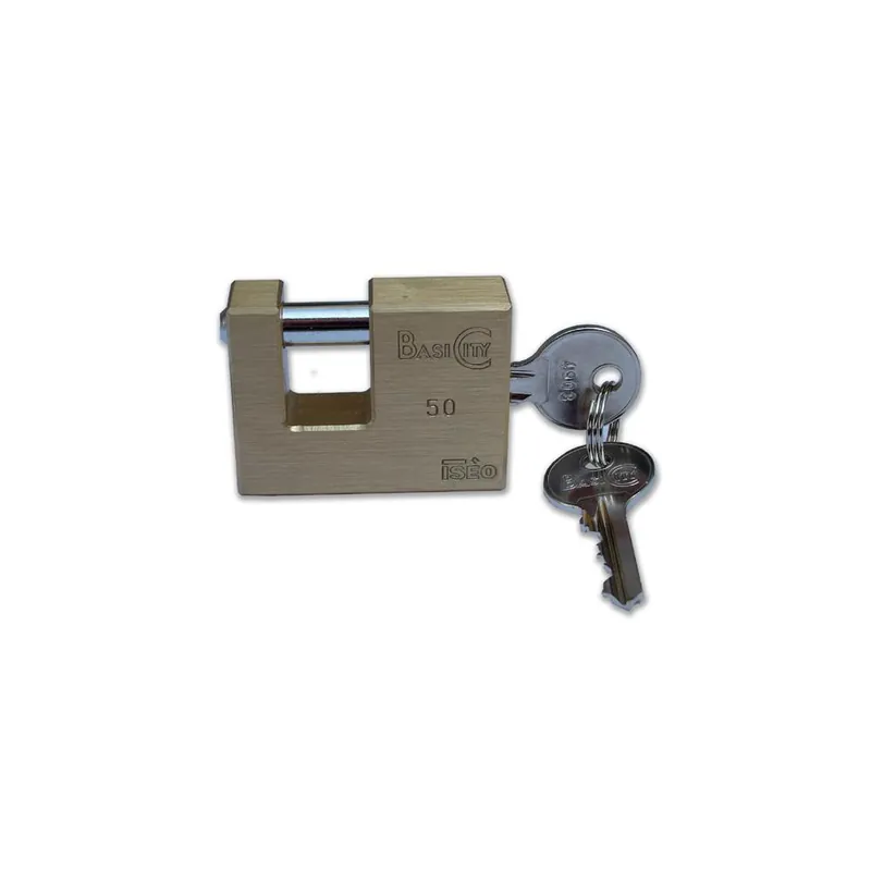 Shop Nu ISEO Lucchetto city basic rettangolare mm 50 177 iseo