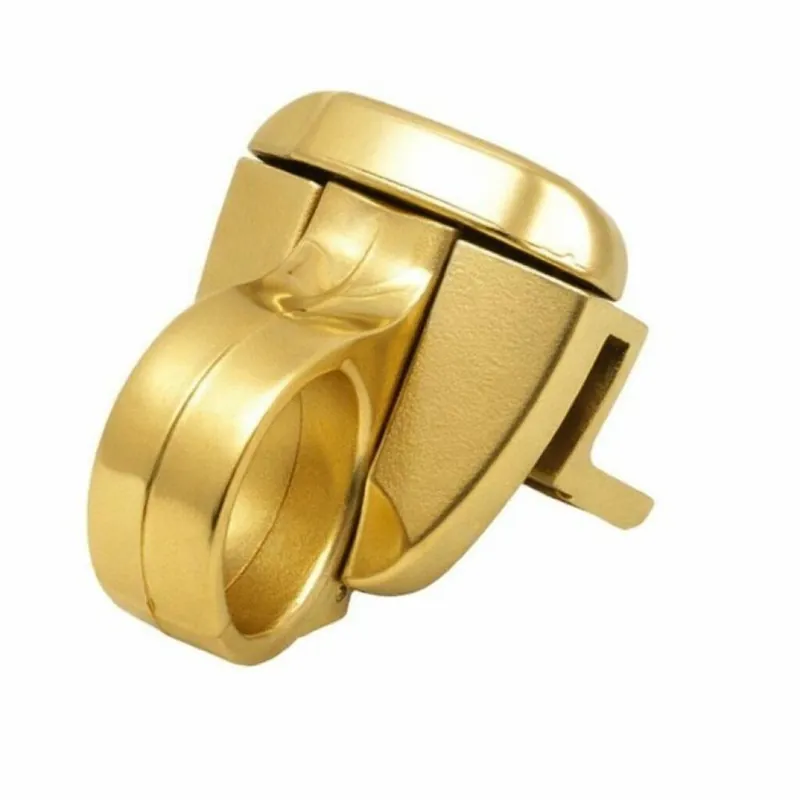 Cricchetto ad aggancio Ring Master con piastrine per telaio sormonto, profilo R40, dimensioni 34x66 mm, finitura Oro Koop Vandaag