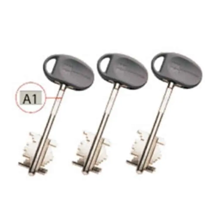 Uitverkoop Set 3 chiavi cifrate ricambio Mottura per nucleo Replay, lunghezza 50 mm