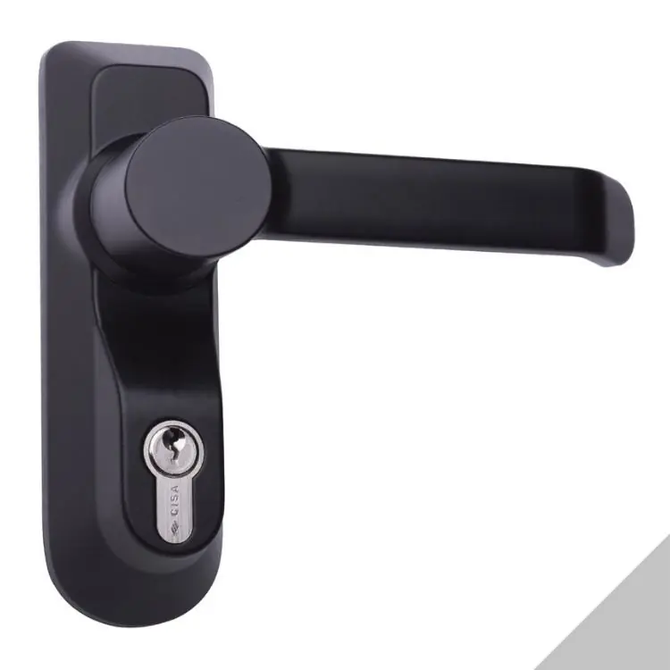Maniglia con cilindro 07078.68 Cisa, per Maniglione antipanico serie FAST, finitura Grigio Koop Vandaag