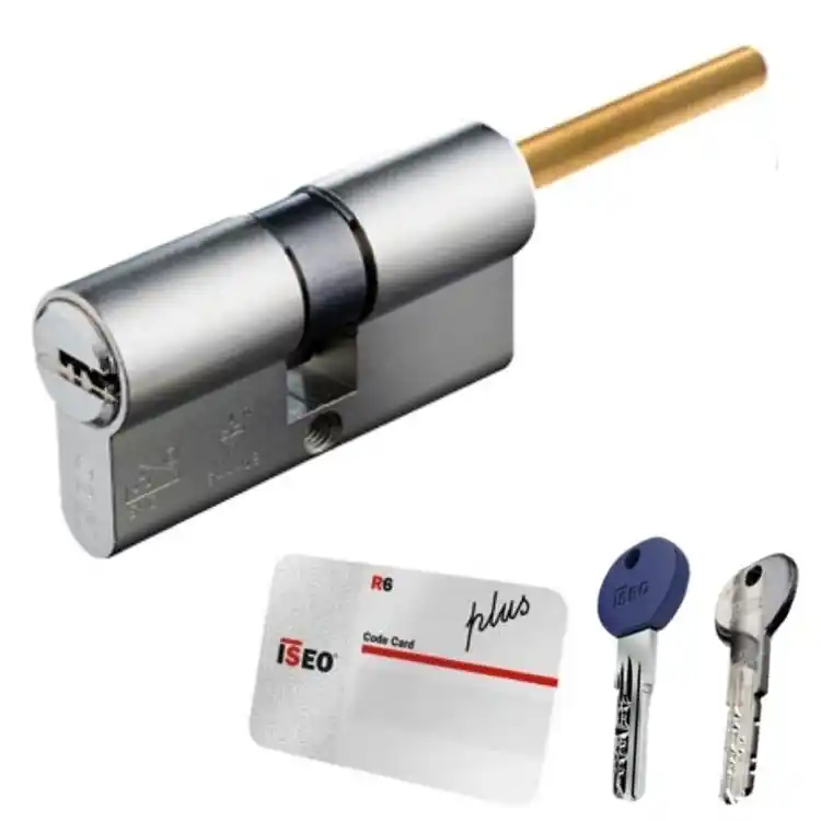 Rechtstreeks Van De Fabrikant Doppio Cilindro R6 Plus Iseo per serratura, sagomato profilo Europeo, con codolo, lunghezza 70 mm 30-40, finitura Ottone Nichelato