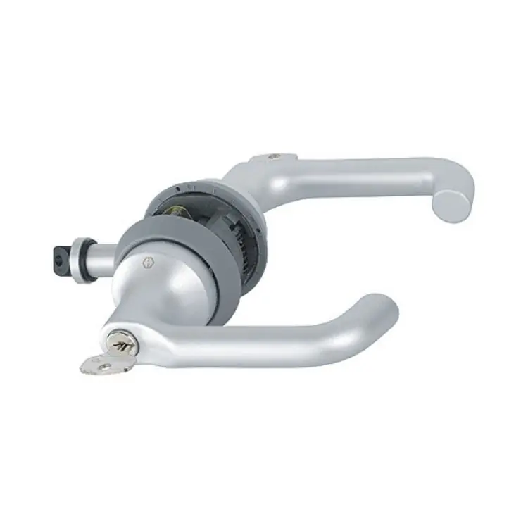 Rechtstreeks Van De Fabrikant Maniglia HCS Paris Hoppe per porta complanare, versione chiave-chiave, spessore porta 35-43 mm, Alluminio finitura Argento Opaco F1-2