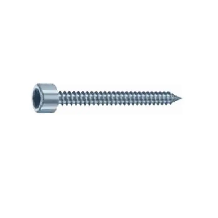 Premium Vite brugola autofilettante 101A Heco serie Cava Esagonale Filetto totale, dimensioni 4,8x50 mm, inserto CH5, colore Zincato bianco