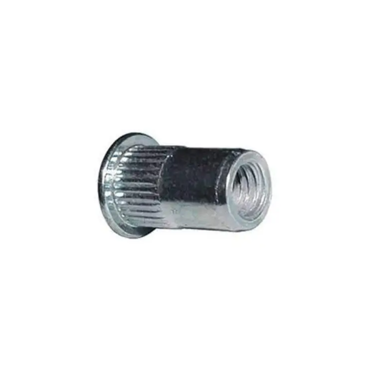 Blister 10 inserti filettati ITC Z Rivsert Rivit per fissaggio, testa tonda aperto zigrinato, passo M10, spessore 1-3,5 mm, materiale Inox 304 Uitverkoop