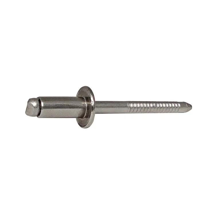 Uitverkoop Blister 100 rivetti IITA2 per fissaggio, testa tonda, dimensioni 3,2x10 mm, materiale Acciaio Inox 304