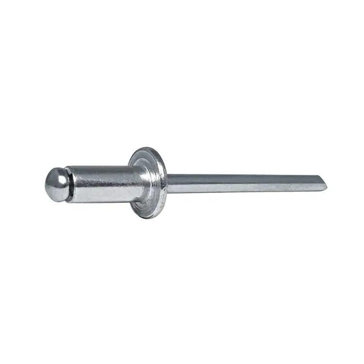 Betaalbaar Blister 50 rivetti FFT Rivit per fissaggio, testa tonda, dimensioni 4,8x16 mm, materiale Acciaio