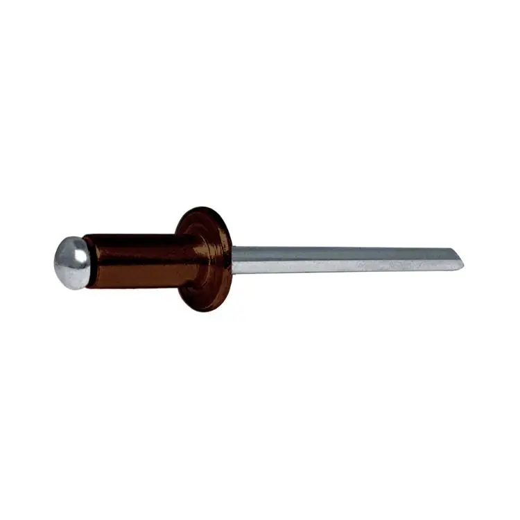 Alleen Vandaag Blister 50 rivetti AFT Rivit per fissaggio, testa tonda, dimensioni 4x12 mm, Alluminio e Acciaio finitura Marrone