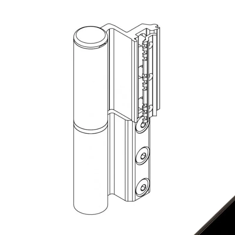 Hete Deal Cerniera Celera 00687 Giesse per serramento, profilo Erre 50, registrabile, altezza 135,5 mm, portata 90-110 Kg, Alluminio finitura Nero